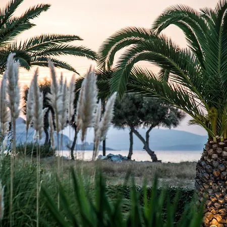 Apartment Naxia Naxos City